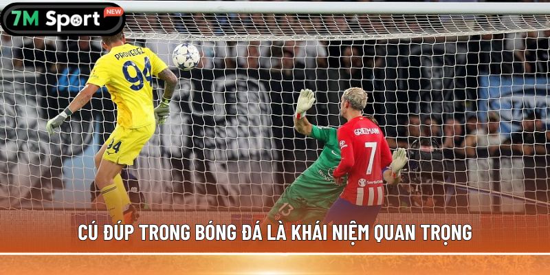 Cú đúp trong bóng đá được hiểu như thế nào là đúng? 7 Cú đúp trong bóng đá là khái niệm quan trọng